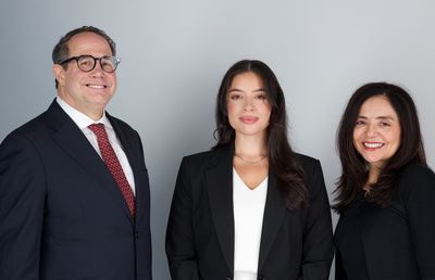Attorneys at Rapaport Law Firm in New York